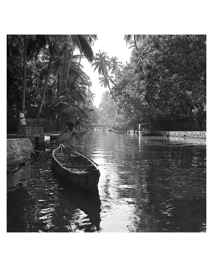 Kerala- "Wealth of back waters “They don’t call it God’s own country for nothing” "
