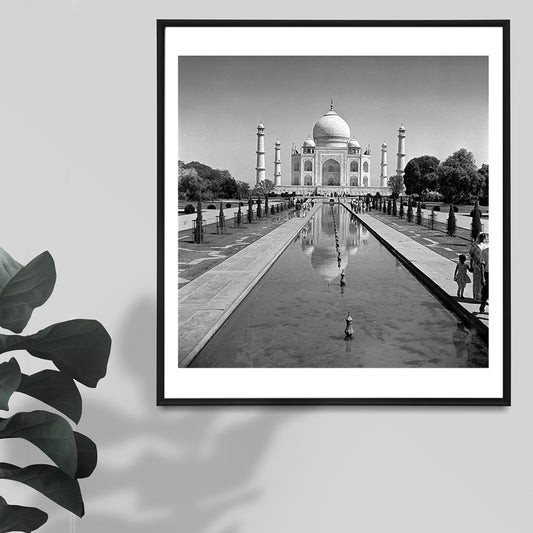 A white pearl - ‘No wonder it is a wonder’ - Sagar World