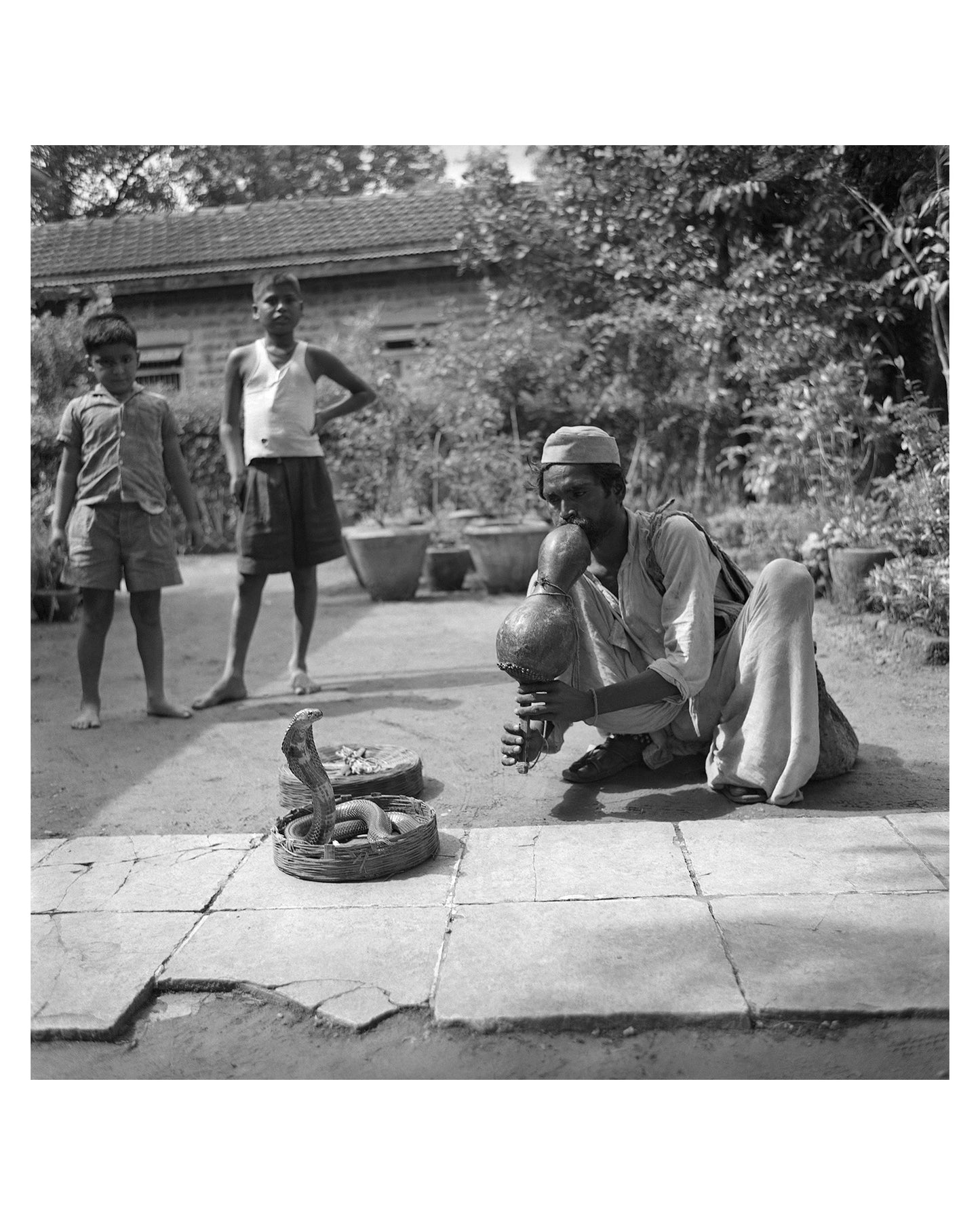 Been – Pungi - Musical instrument of snake charmer "Snake grines through his fangs"