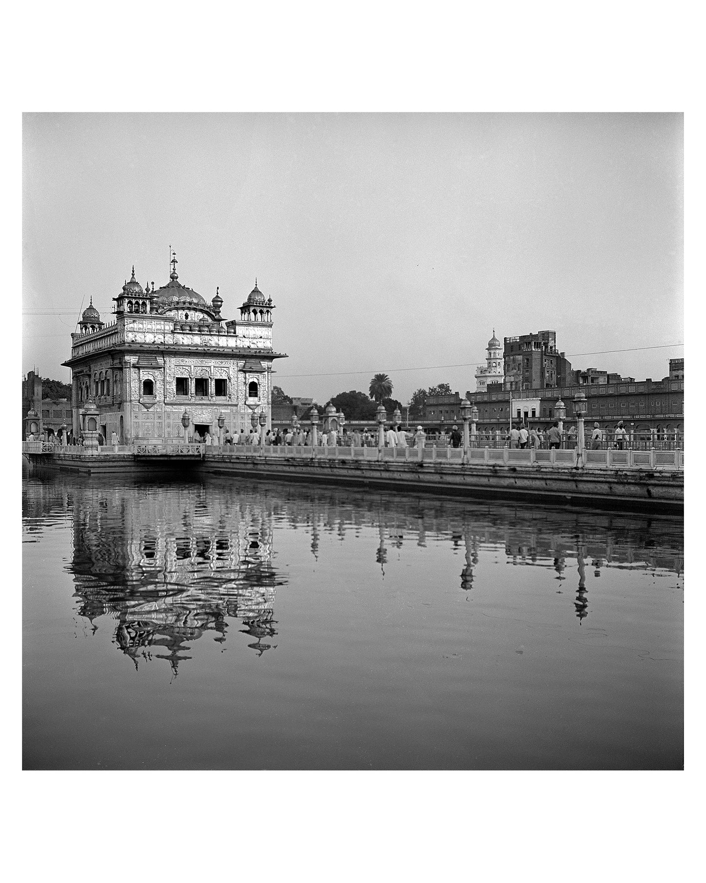 Sri Harmandir Sahib -Golden temple floating in water is a sight to behold