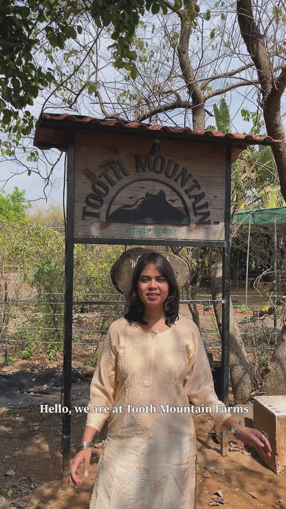 A2 Desi Gir Cow Ghee